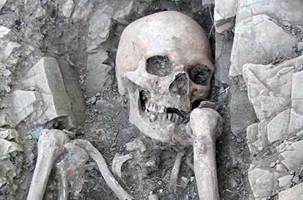 A skeleton uncovered by researchers.