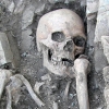 A skeleton uncovered by researchers.